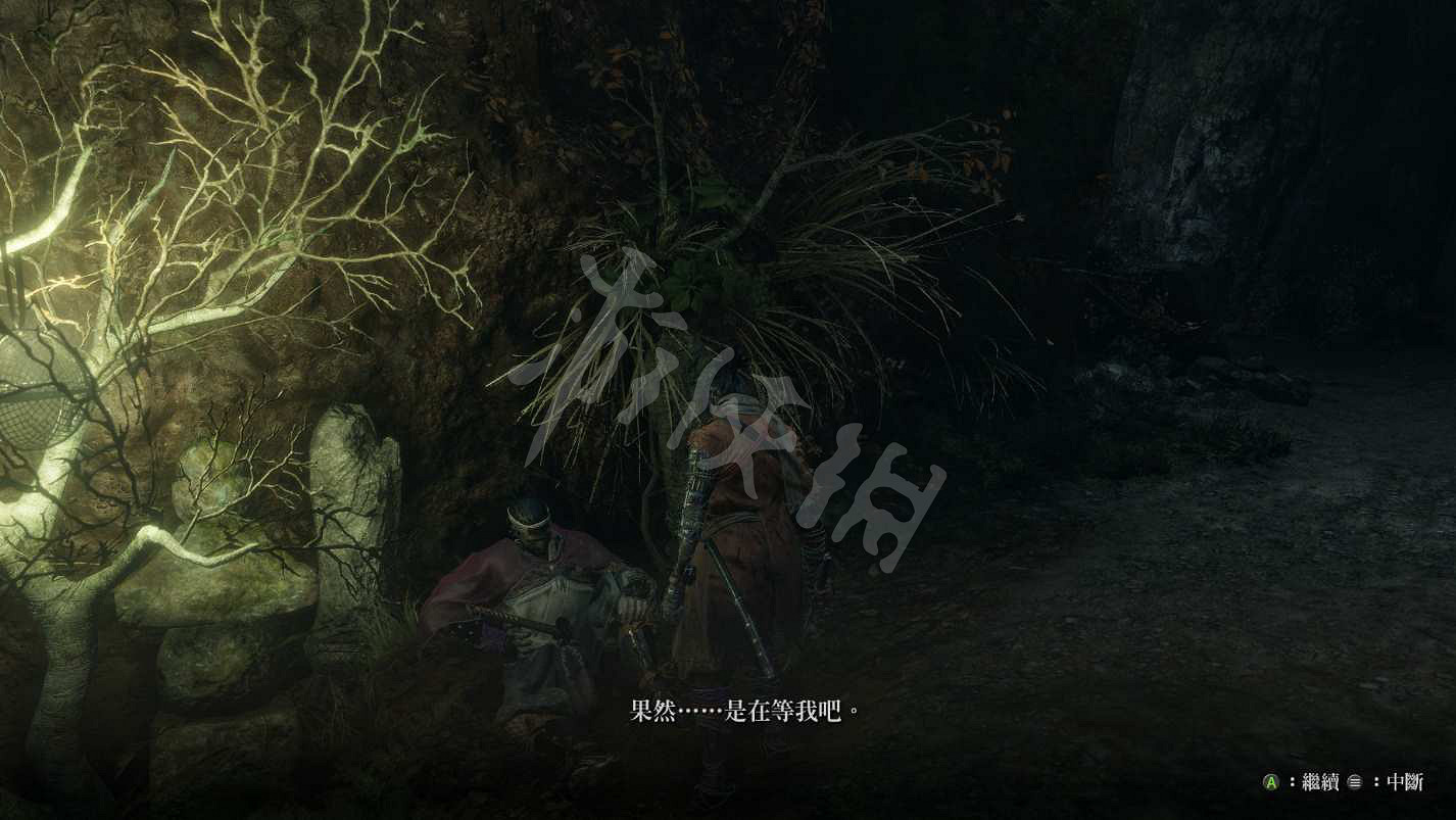 《隻狼暗影雙死》水生的凜支線怎麽完成?水生的凜支線完成方法 《隻狼暗影雙死》水生的凜支線怎麽完成?水生的凜支線完成方法