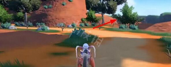 《寶可夢朱紫》紅蓮鎧騎在哪抓?紅蓮鎧騎進化條件一覽 《寶可夢朱紫》紅蓮鎧騎在哪抓?紅蓮鎧騎進化條件一覽