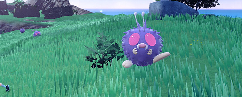 寶可夢朱紫先機球在哪裡買 寶可夢朱紫先機球在哪裡買