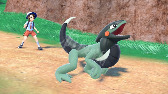 《寶可夢朱紫》摩托蜥怎麽進化?摩托蜥進化方法說明 《寶可夢朱紫》摩托蜥怎麽進化?摩托蜥進化方法說明