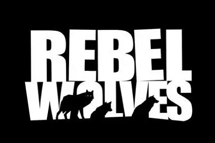 前《巫師3》總監的新工作室Rebel Wolves獲網易投資 前《巫師3》總監的新工作室Rebel Wolves獲網易投資