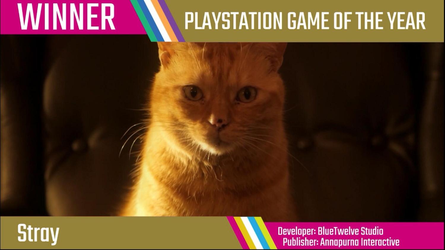 感謝人類的支援！《Stray》榮獲年度PS遊戲 貓貓致謝