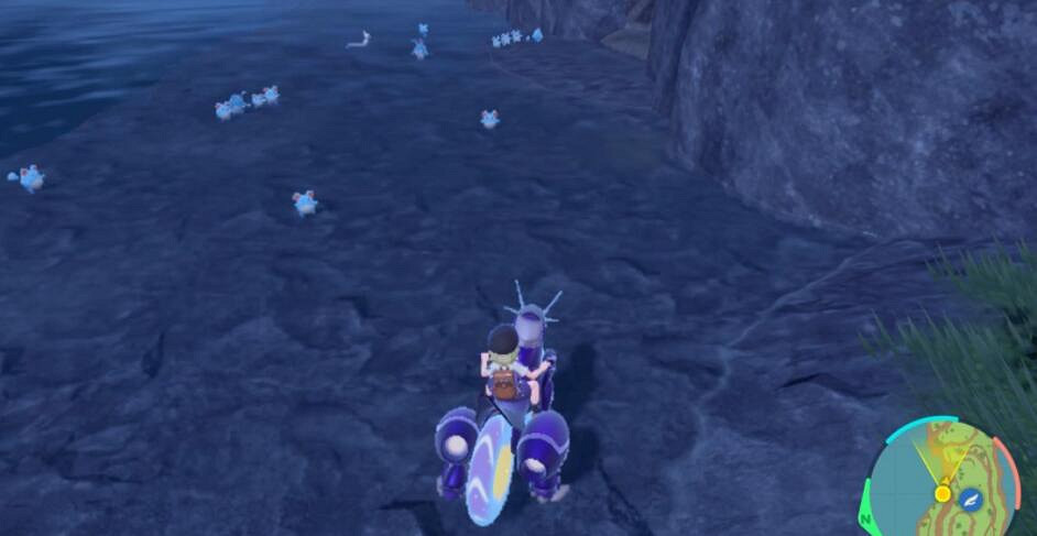 《寶可夢朱紫》瑪麗露閃光在哪刷？刷閃光瑪麗露位置推薦