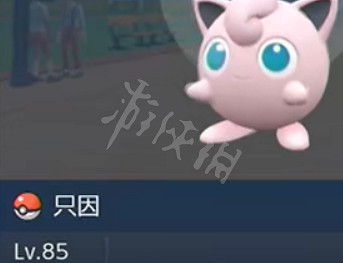 《寶可夢朱紫》可以改名字嗎?精靈改名方法分享 《寶可夢朱紫》可以改名字嗎?精靈改名方法分享