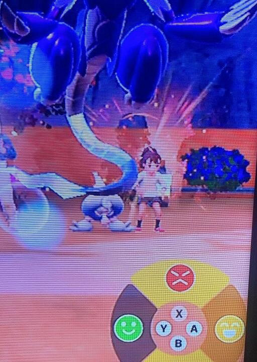 《寶可夢朱紫》樹果獲得位置分享 樹果怎麽獲得？