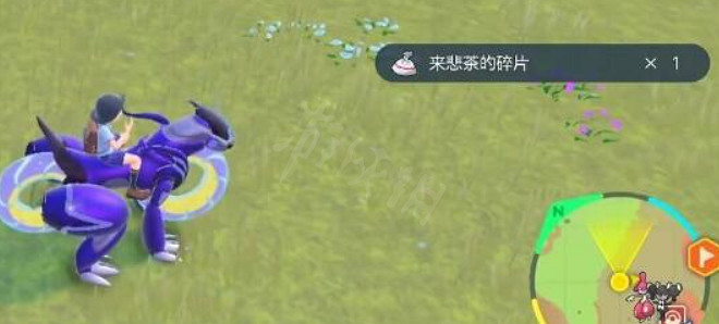 《寶可夢朱紫》詛咒之鎧怎麽獲取?詛咒之鎧獲得方法分享 《寶可夢朱紫》詛咒之鎧怎麽獲取?詛咒之鎧獲得方法分享