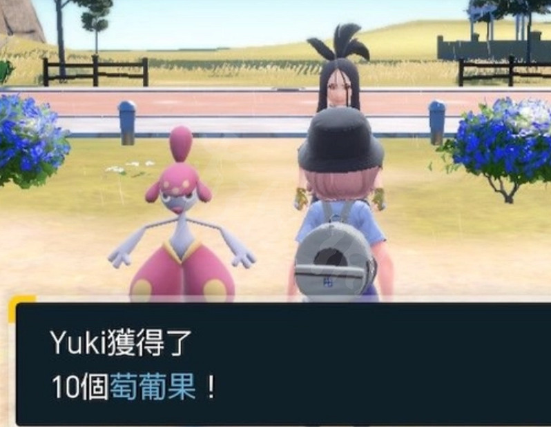 《寶可夢朱紫》努力值怎麽洗?努力值清空方法分享 《寶可夢朱紫》努力值怎麽洗?努力值清空方法分享