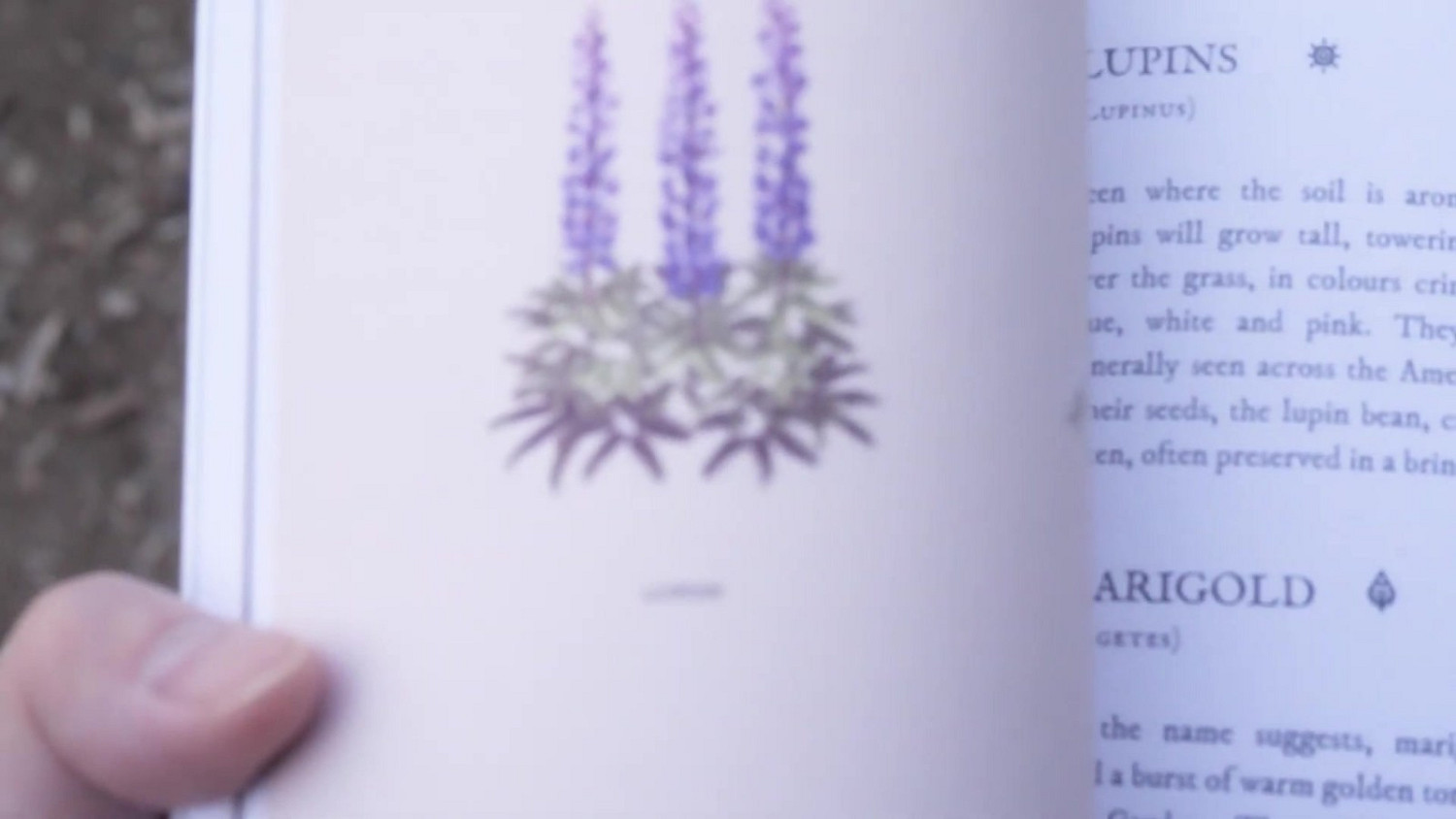 生活模擬遊戲《花園小徑》將於2023年春季推出