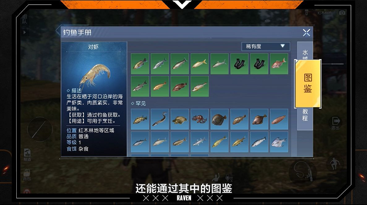 《黎明覺醒》怎麽釣到稀有魚 釣魚玩法攻略