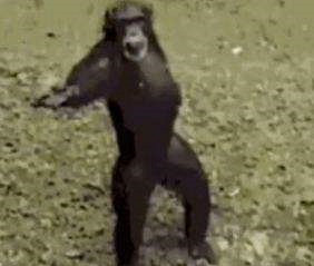 在這款肉鴿版分手廚房裡玩海戰，爽到根本停不下來