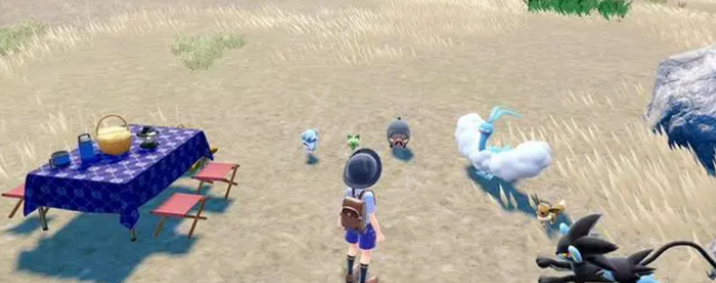 《寶可夢朱紫》親密度怎麽提升？親密度提升方法分享