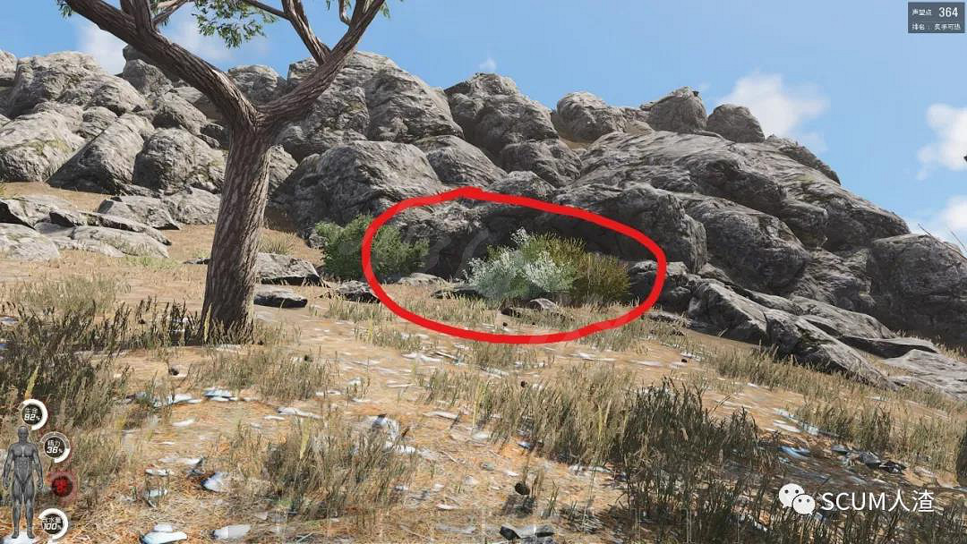 《人渣scum》山洞在哪裡 遊戲中山洞位置介紹一覽