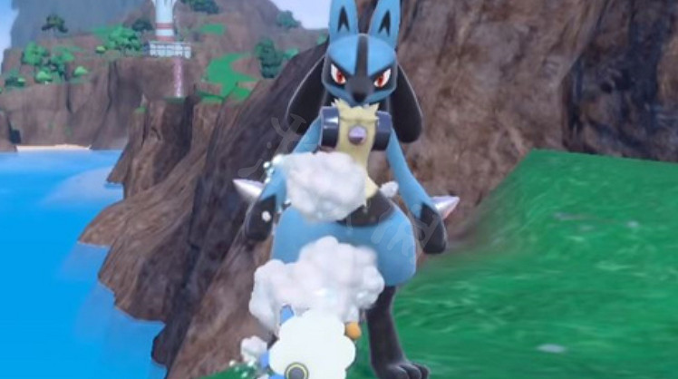 《寶可夢朱紫》親密度怎麽提升？親密度提升方法分享