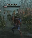 《巫師3：狂獵》最新展示怪物匯總攻略