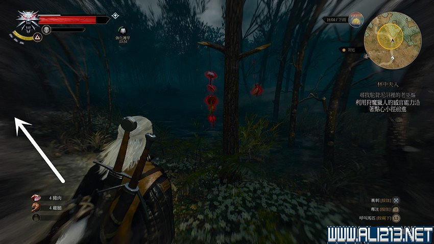 《巫師3：狂獵》圖文流程攻略 主線+分支任務