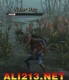 《巫師3:狂獵》怪物圖鑒一覽攻略 《巫師3:狂獵》怪物圖鑒一覽攻略