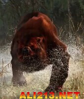 《巫師3:狂獵》怪物圖鑒一覽攻略 《巫師3:狂獵》怪物圖鑒一覽攻略