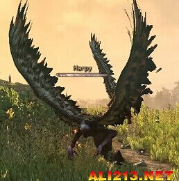 《巫師3:狂獵》怪物圖鑒一覽攻略 《巫師3:狂獵》怪物圖鑒一覽攻略