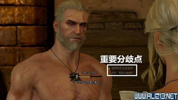 《巫師3:狂獵》圖文流程攻略 主線+分支任務 《巫師3:狂獵》圖文流程攻略 主線+分支任務