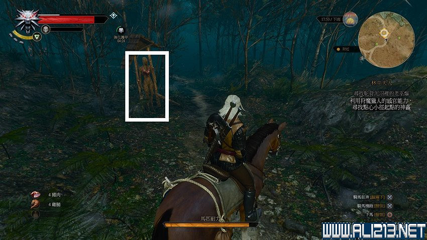 《巫師3：狂獵》圖文流程攻略 主線+分支任務