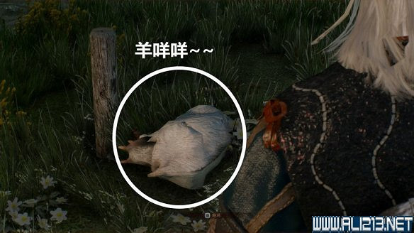 《巫師3:狂獵》圖文流程攻略 主線+分支任務 《巫師3:狂獵》圖文流程攻略 主線+分支任務