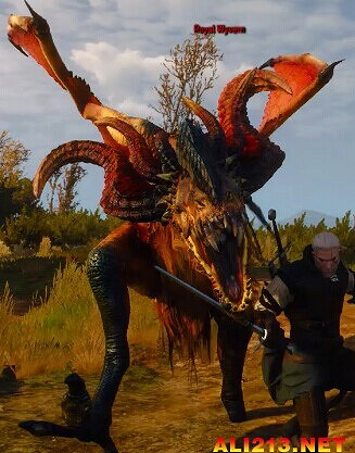 《巫師3:狂獵》怪物圖鑒一覽攻略 《巫師3:狂獵》怪物圖鑒一覽攻略