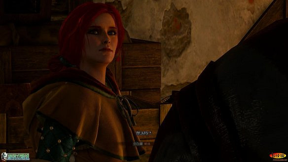 《巫師3:狂獵》圖文攻略 主線任務+支線任務+狩獵任務+操作介紹+技能說明 《巫師3:狂獵》圖文攻略 主線任務+支線任務+狩獵任務+操作介紹+技能說明