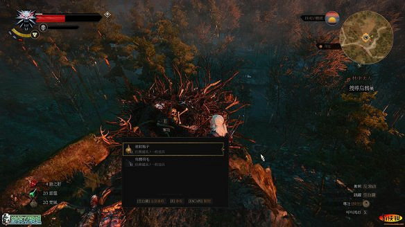 《巫師3:狂獵》圖文攻略 主線任務+支線任務+狩獵任務+操作介紹+技能說明 《巫師3:狂獵》圖文攻略 主線任務+支線任務+狩獵任務+操作介紹+技能說明