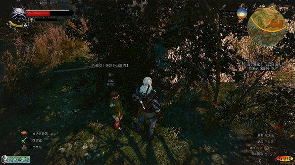 《巫師3:狂獵》圖文攻略 主線任務+支線任務+狩獵任務+操作介紹+技能說明 《巫師3:狂獵》圖文攻略 主線任務+支線任務+狩獵任務+操作介紹+技能說明