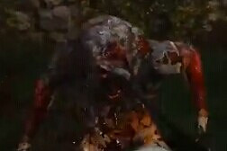 《巫師3：狂獵》最新展示怪物匯總攻略