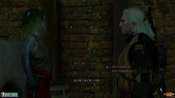 《巫師3:狂獵》圖文攻略 主線任務+支線任務+狩獵任務+操作介紹+技能說明 《巫師3:狂獵》圖文攻略 主線任務+支線任務+狩獵任務+操作介紹+技能說明