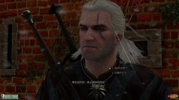 《巫師3:狂獵》圖文攻略 主線任務+支線任務+狩獵任務+操作介紹+技能說明 《巫師3:狂獵》圖文攻略 主線任務+支線任務+狩獵任務+操作介紹+技能說明