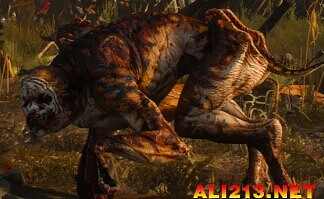 《巫師3:狂獵》怪物圖鑒一覽攻略 《巫師3:狂獵》怪物圖鑒一覽攻略