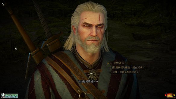 《巫師3:狂獵》圖文攻略 主線任務+支線任務+狩獵任務+操作介紹+技能說明 《巫師3:狂獵》圖文攻略 主線任務+支線任務+狩獵任務+操作介紹+技能說明