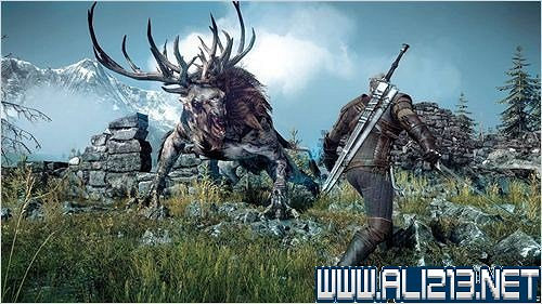 《巫師3:狂獵》圖文流程攻略 主線+分支任務 《巫師3:狂獵》圖文流程攻略 主線+分支任務