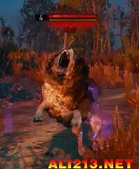 《巫師3:狂獵》怪物圖鑒一覽攻略 《巫師3:狂獵》怪物圖鑒一覽攻略