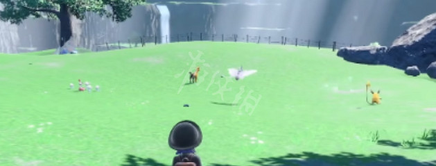 《寶可夢朱紫》第零區在哪?第零區任務地點分享 《寶可夢朱紫》第零區在哪?第零區任務地點分享