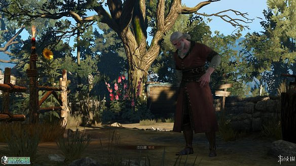 《巫師3:狂獵》圖文攻略 主線任務+支線任務+狩獵任務+操作介紹+技能說明 《巫師3:狂獵》圖文攻略 主線任務+支線任務+狩獵任務+操作介紹+技能說明