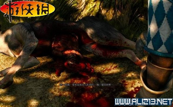 《巫師3:狂獵》全任務全教學全劇情流程圖文攻略 《巫師3:狂獵》全任務全教學全劇情流程圖文攻略