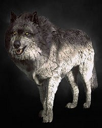 《巫師3：狂獵》全怪物圖鑒及屬性弱點列表解析攻略