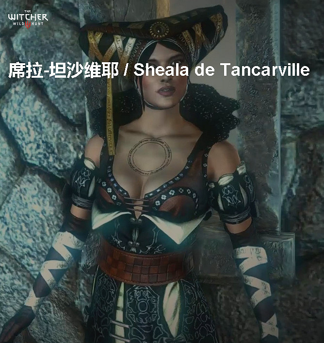 《巫師3：狂獵》角色、怪物、世界、事件及時間線等資料詳細解析攻略