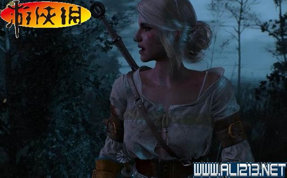 《巫師3:狂獵》全任務全教學全劇情流程圖文攻略 《巫師3:狂獵》全任務全教學全劇情流程圖文攻略