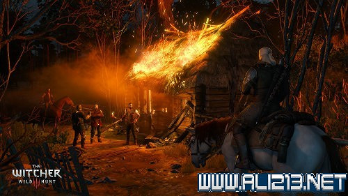 《巫師3：狂獵》全怪物圖鑒及屬性弱點列表解析攻略