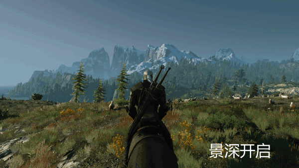 《巫師3：狂獵》PC畫質微調詳解 圖形、性能調整指南