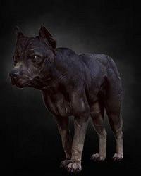 《巫師3：狂獵》全怪物圖鑒及屬性弱點列表解析攻略