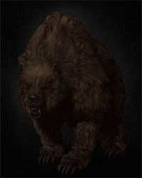 《巫師3：狂獵》全怪物圖鑒及屬性弱點列表解析攻略