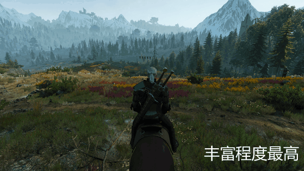 《巫師3：狂獵》PC畫質微調詳解 圖形、性能調整指南
