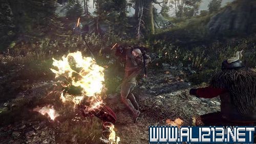 《巫師3:狂獵》野性之心任務做法詳解攻略 《巫師3:狂獵》野性之心任務做法詳解攻略