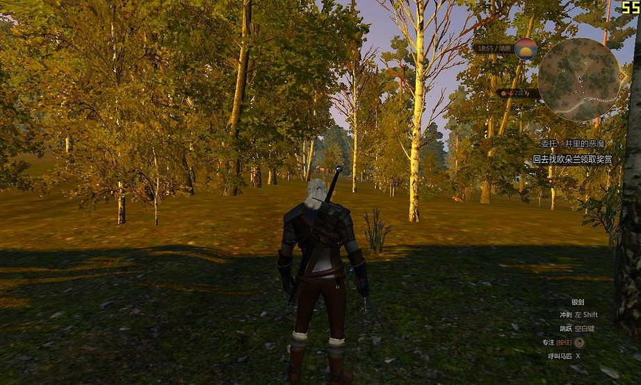 《巫師3:狂獵》低配優化方法分享攻略 《巫師3:狂獵》低配優化方法分享攻略