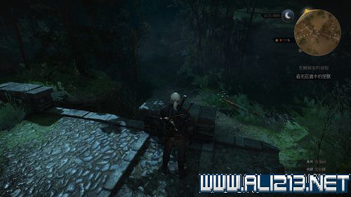 《巫師3:狂獵》希裡第一次掉落地點位置解析攻略 《巫師3:狂獵》希裡第一次掉落地點位置解析攻略